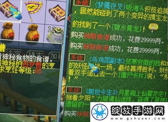 梦幻西游18门挂机回来多了两本高兽诀