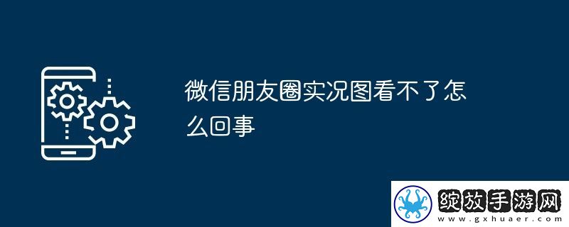 微信朋友圈实况图看不了怎么回事