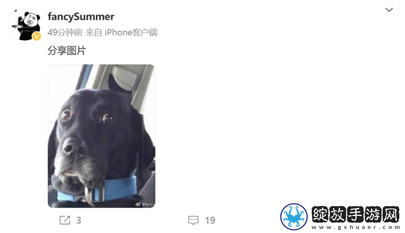 RA晋级赛后动态
