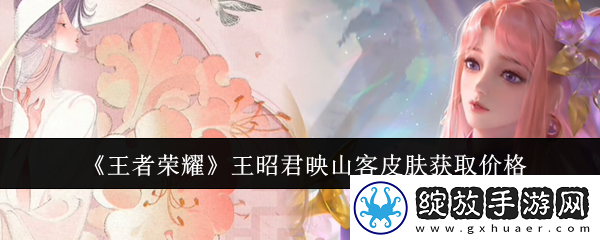 王者荣耀王昭君映山客皮肤获取价格