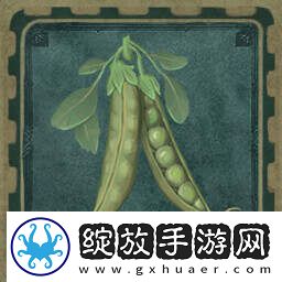 欢欣森活成就有哪些