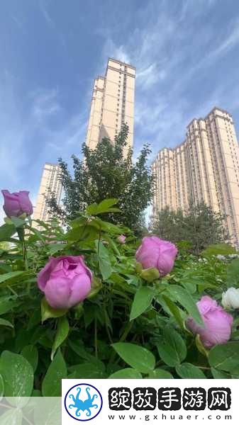 国色天香A区与B区