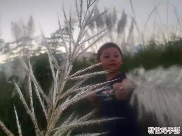 芦苇荡里的母爱