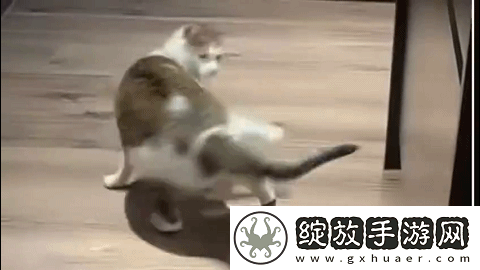 收入突然增220%！桃源深处有人家还能翻红