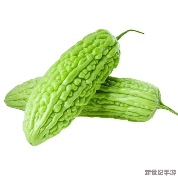 1313苦瓜网