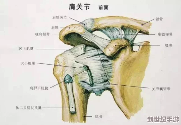 白虎**