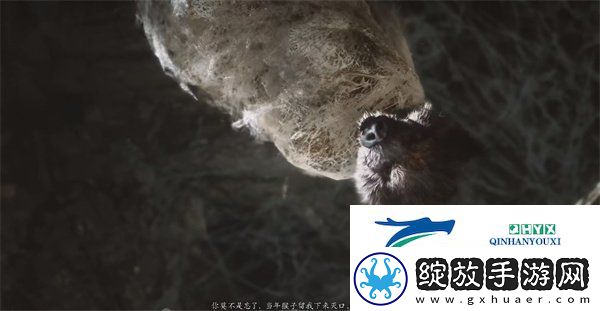 黑神话悟空紫蛛儿在哪