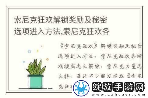 索尼克狂欢秘密选项进入方法揭秘