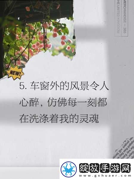 小诗的公交车日记
