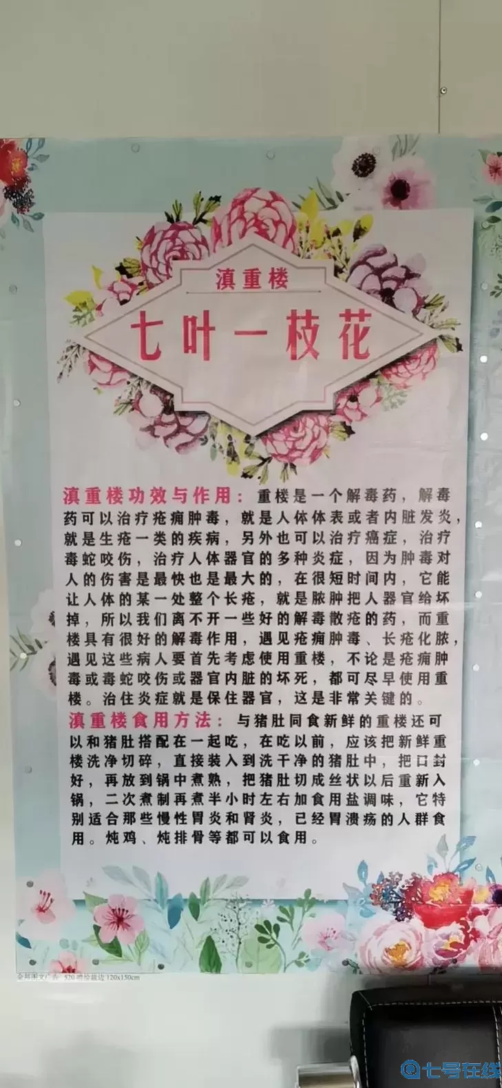 重楼有什么功效与作用