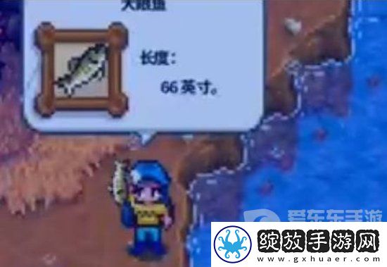 星露谷物语大眼鱼从哪儿钓