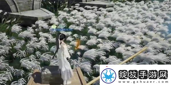 射雕手游梅花肯瓷怎么收集