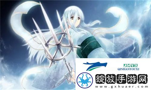 三叶草M码和欧洲码的区别