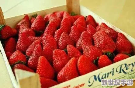 震惊！国产精品一二三产区草莓竟然在国际市场上大放异彩