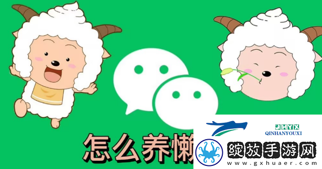微信状态怎么养动物