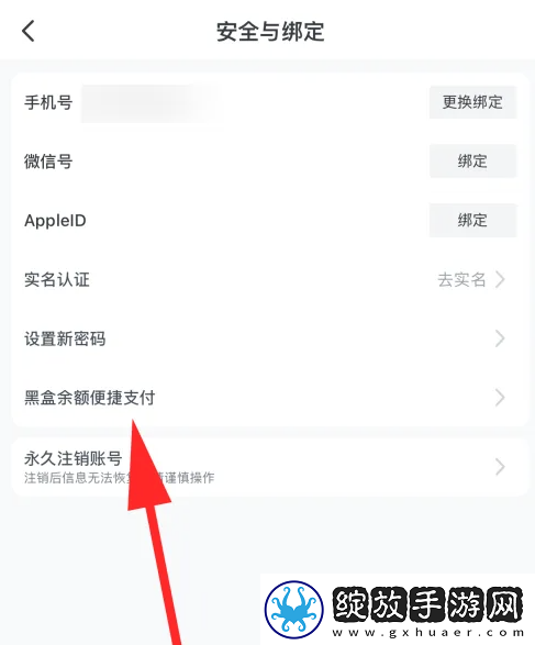 小黑盒怎么设置支付密码