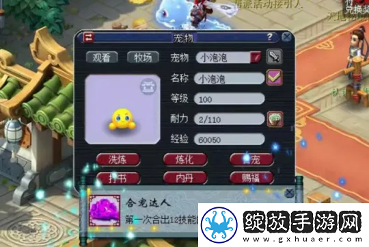 梦幻西游净台血宠连打2本超级兽诀