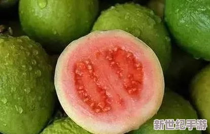 丝瓜草莓榴莲秋葵芭乐小黄鸭