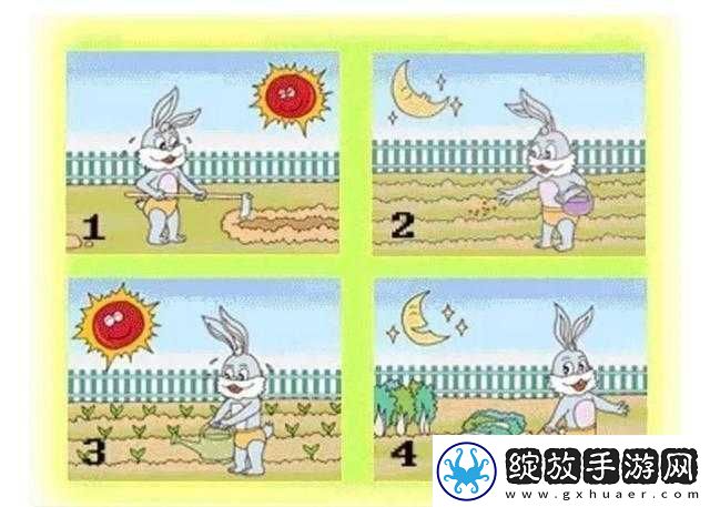 一起探寻观察画面仔细对比在寻找过程中的不可或缺性