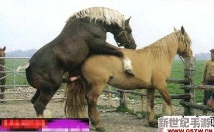 震惊！雷电将军和丘丘人繁衍后代详解