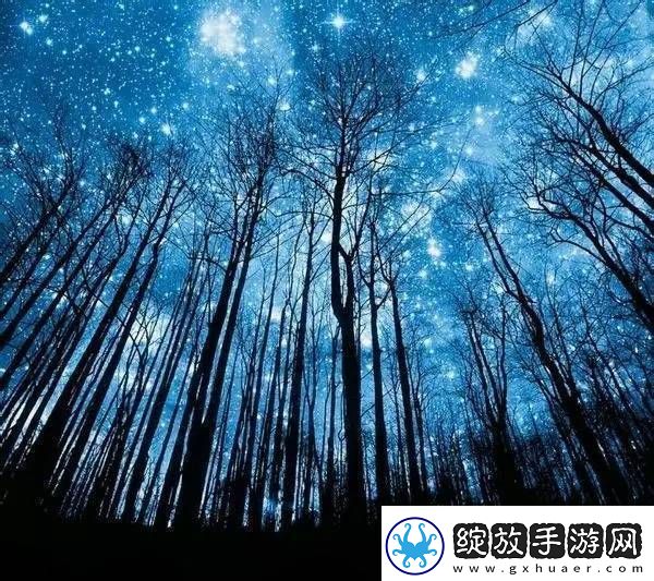 探索手来到她的桃花源