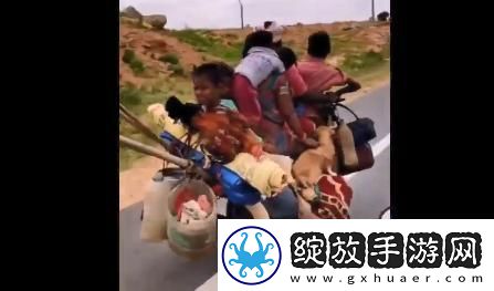 解锁全新乐趣