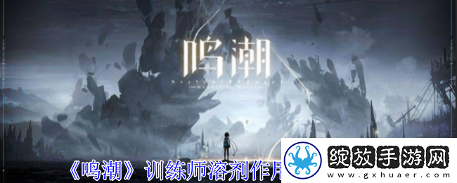 鸣潮训练师溶剂作用和效果一览