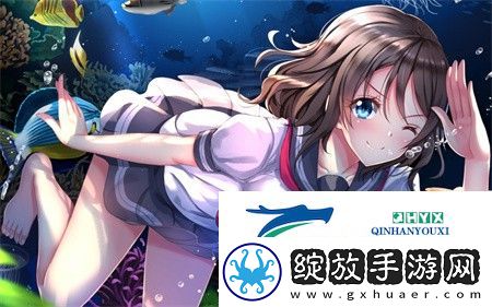 成品视频CRM网站