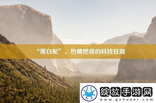 “黑白配”热情燃烧的科技狂潮