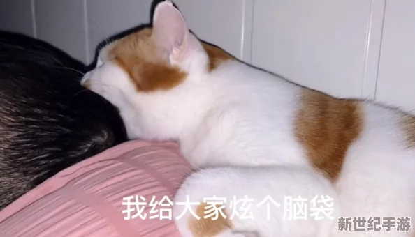 牛牛影视