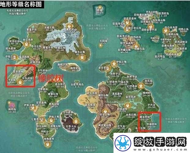 创造与魔法橡胶树位置全解