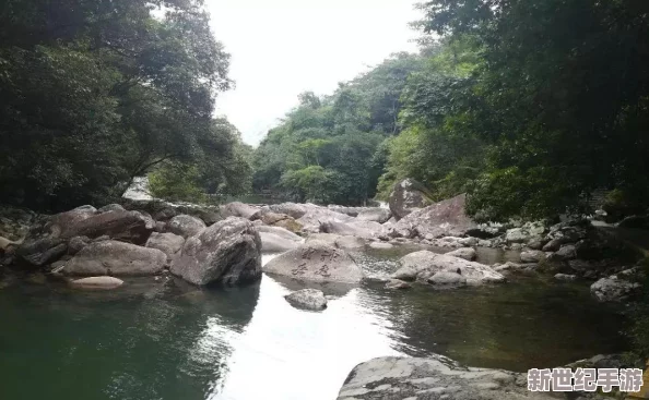 铿铿咚咚咚锵锵在线观看
