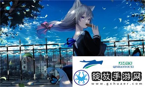 vr成品网源码78w78的特点