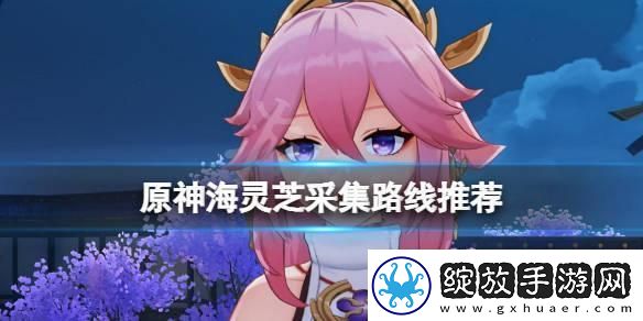 原神海灵芝怎么收集