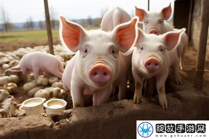 内容精彩纷呈