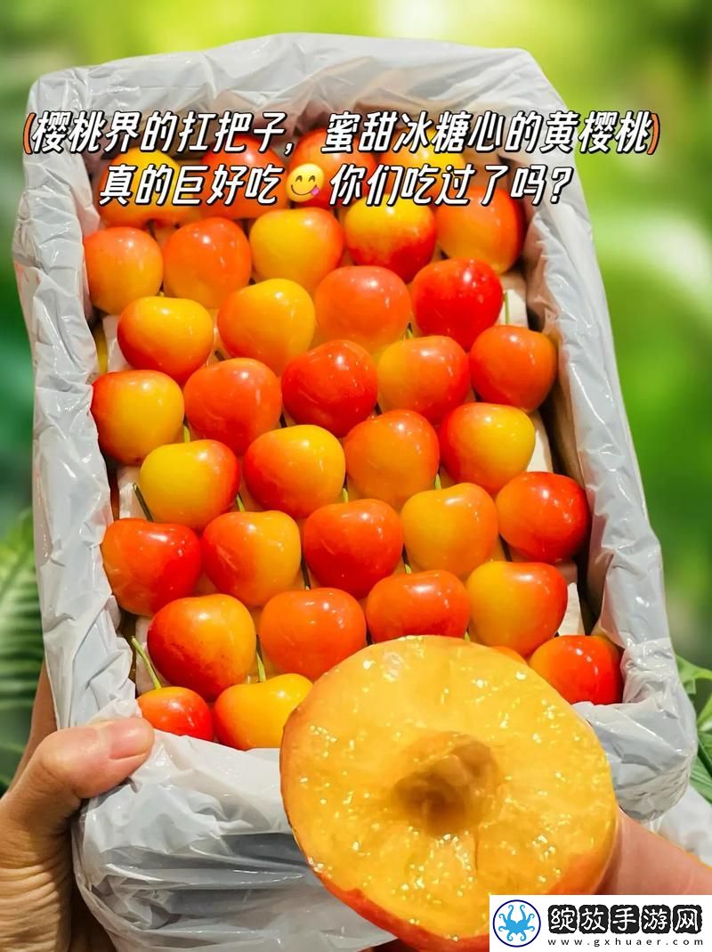 樱桃在线观看免费高清电视剧荣耀