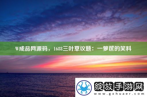 W成品源码