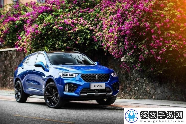 Weyvv8国产SUV