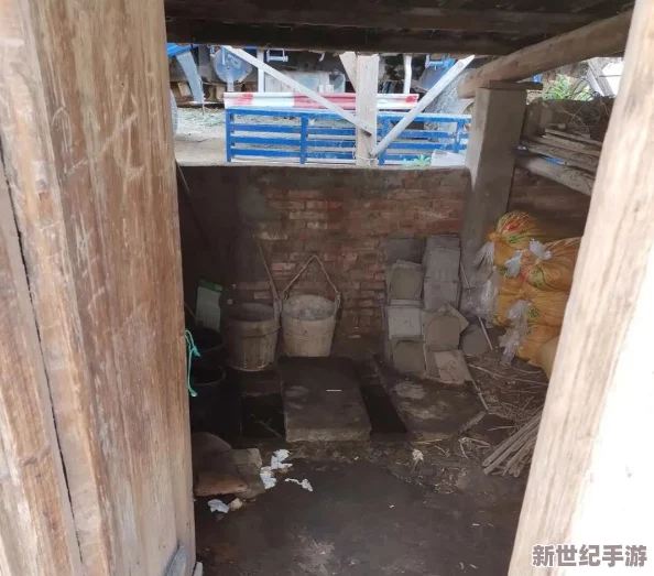 旱厕**XXXXX极品