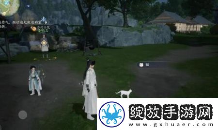 射雕手游动物在哪里找