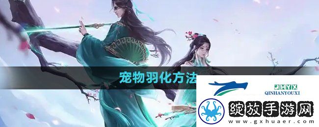 问道手游宠物怎么羽化