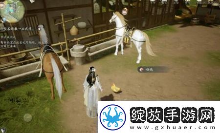 射雕手游动物在哪里找