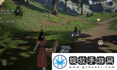 射雕手游动物在哪里找