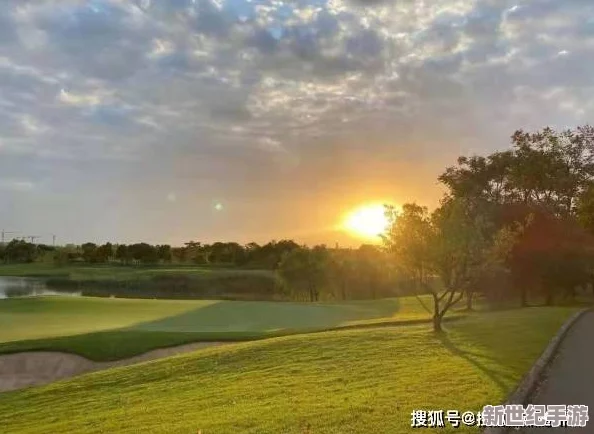 震惊！97黄色片背后隐藏的真相曝光