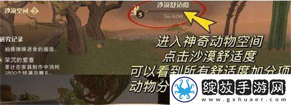 哈利波特魔法觉醒如何提高沙漠舒适度