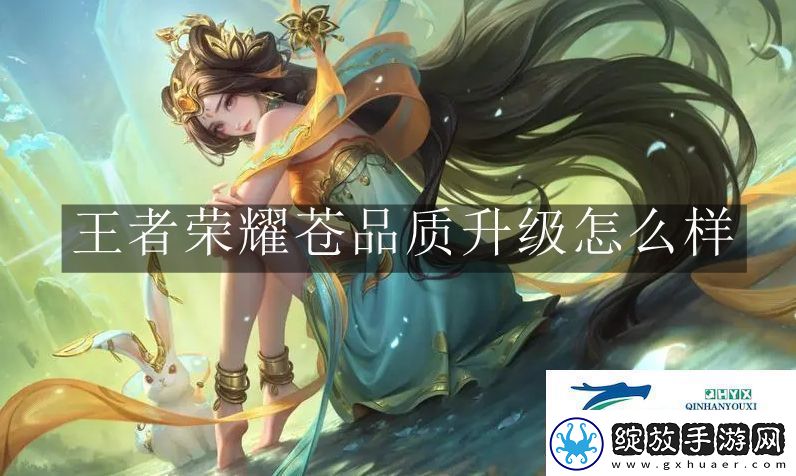 王者荣耀苍品质升级怎么样