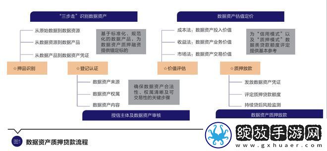 高干NP政策解析