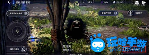 黑色沙漠武器强化可以继承吗