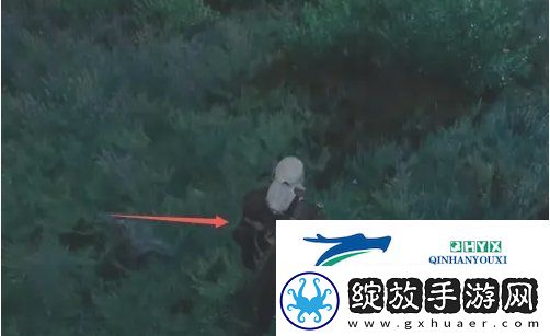 巫师3燕子魔药怎么获得