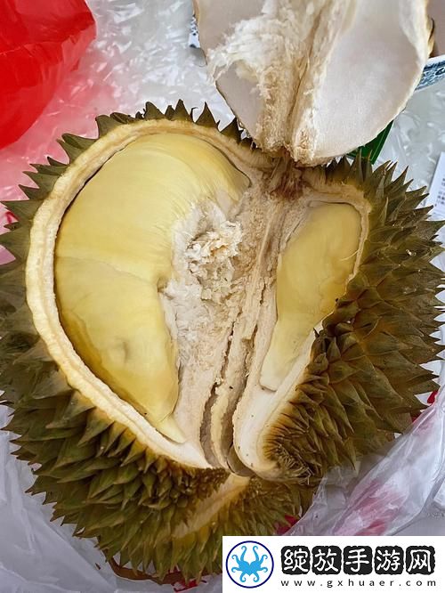榴莲香蕉苹果哈密瓜水蜜桃